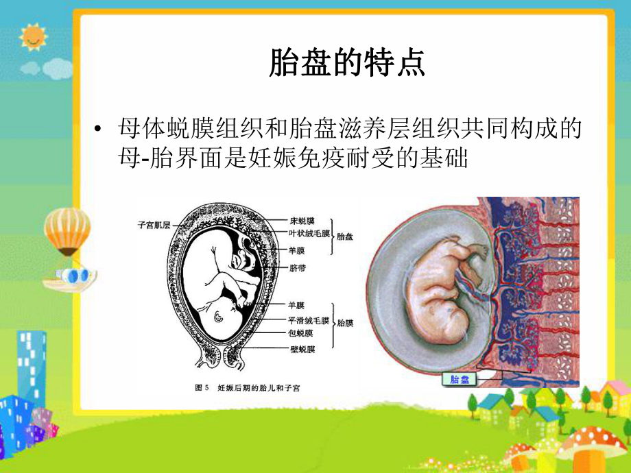 新预防过敏孕妇做起课件.ppt_第3页