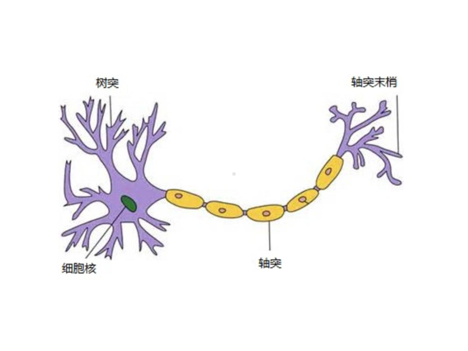 机器学习与应用：Tensorflow、神经网络课件.pptx_第3页