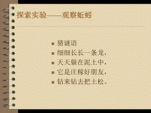 探索实验观察蚯蚓课件.ppt