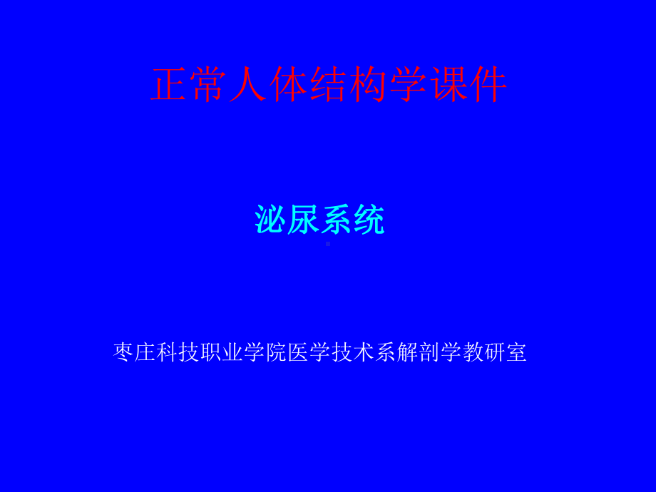 泌尿系统-课件.ppt_第1页