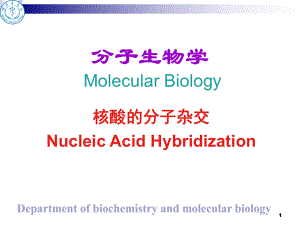 核酸分子杂交(1)讲解课件.ppt