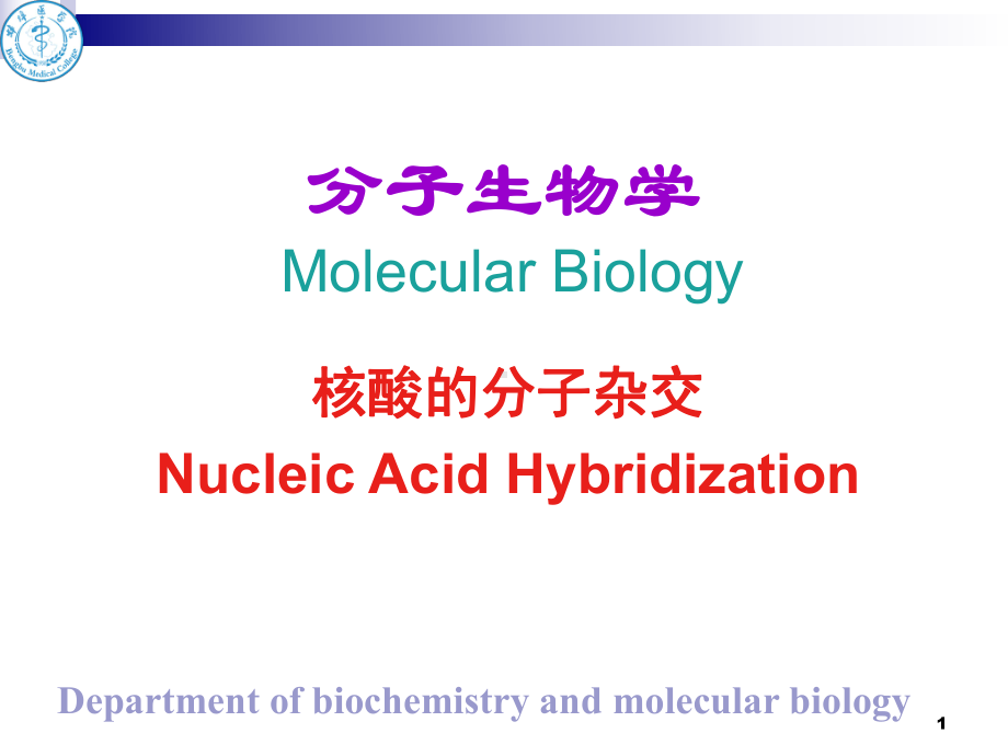 核酸分子杂交(1)讲解课件.ppt_第1页