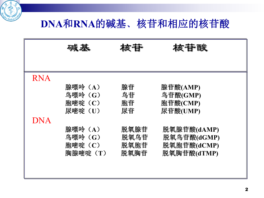 核酸分子杂交(1)讲解课件.ppt_第2页