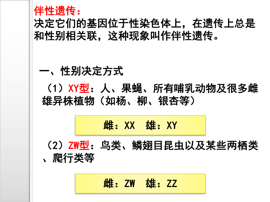 新教材《伴性遗传》课件人教版1.pptx_第2页