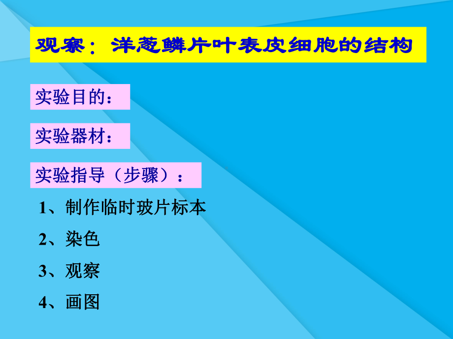 植物细胞的结构和功能PPT课件-苏教版优秀课件.ppt_第2页