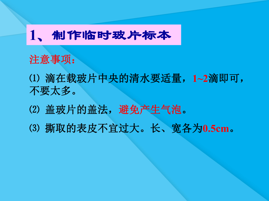 植物细胞的结构和功能PPT课件-苏教版优秀课件.ppt_第3页