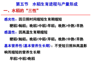 水稻生育进程与产量形成课件.ppt