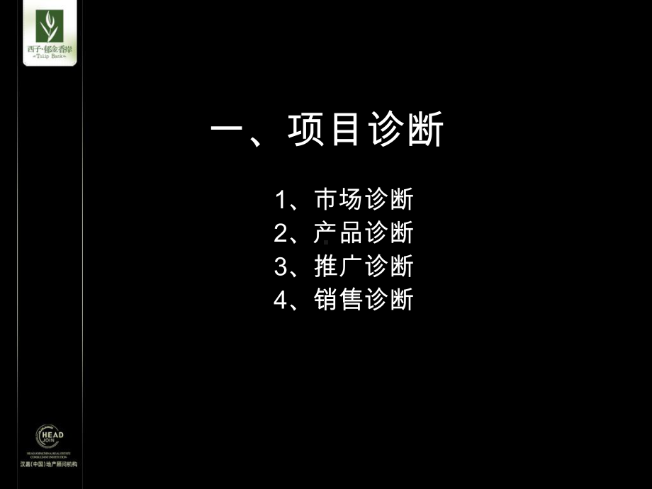 某营销建议课件.ppt_第2页