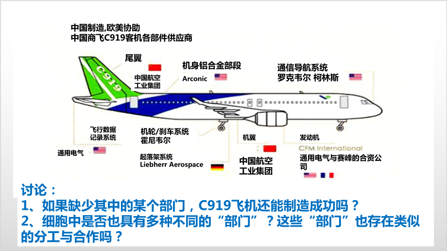 新教材《细胞器之间的分工合作》ppt公开课课件人教版2.pptx_第3页