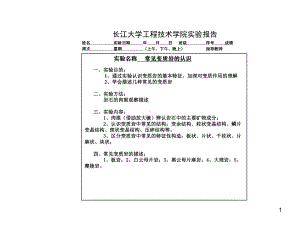 实验常见变质岩的认识课件.ppt