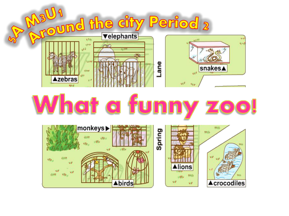 module 3 unit 1 around the city period 2 (what a funny zoo!)课件（26张ppt）-牛津上海版（试用本）五年级上册《英语》.pptx_第1页