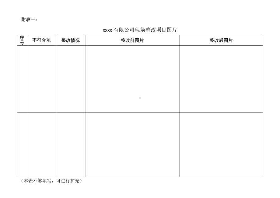 企业安全生产标准化现场评审整改工作汇总表参考模板范本.doc_第2页