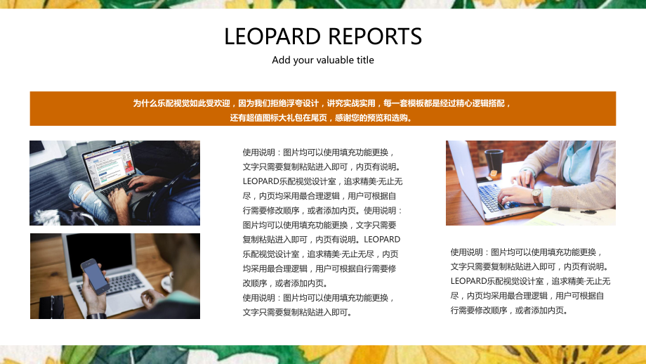 实用模板-LEOPARDPPT模板学习课件.pptx_第3页