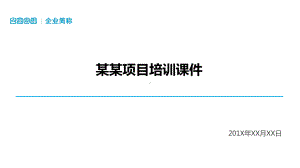 实用模板-某某项目培训课件PPT模板.pptx