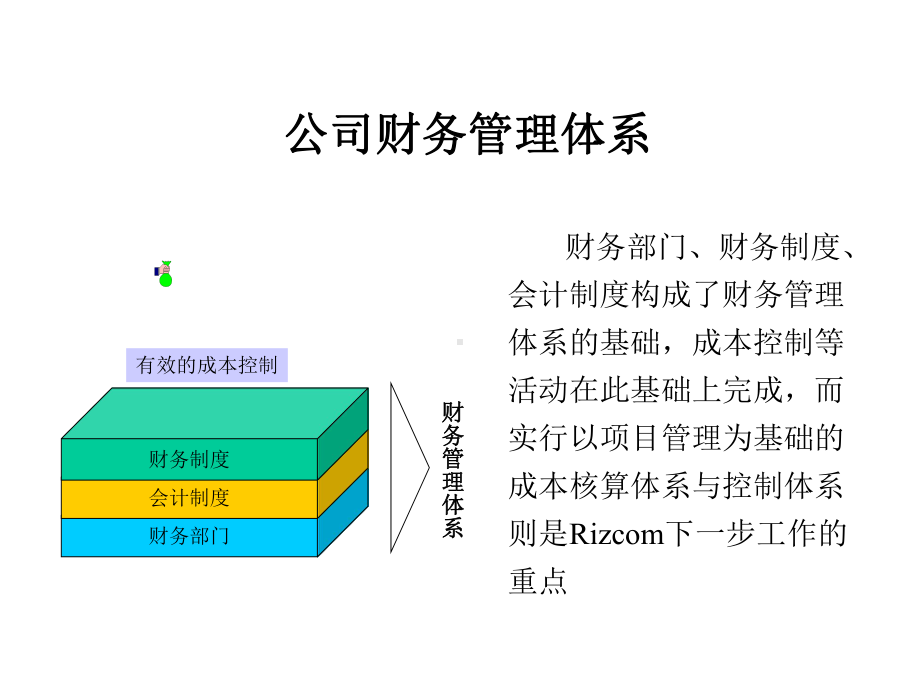 某公司财务管理体系01.pptx_第1页