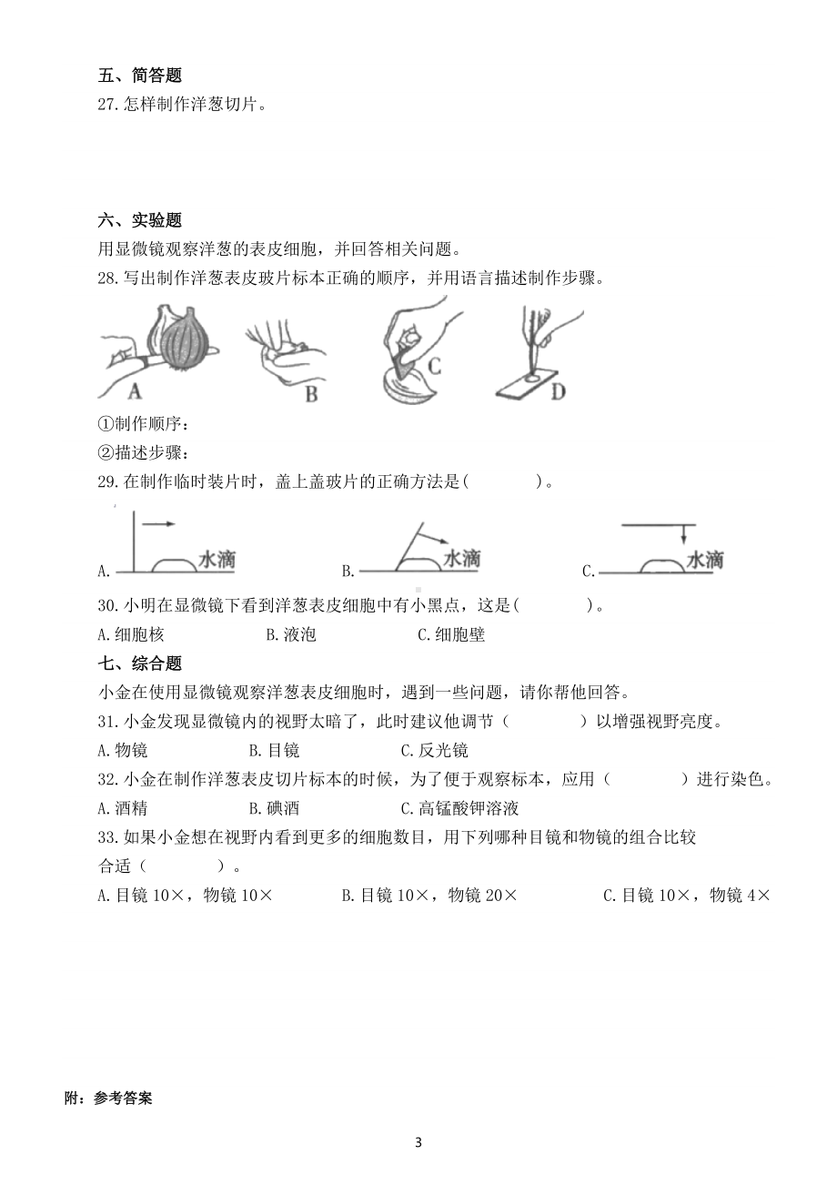 小学科学教科版六年级上册第一单元第4课《观察洋葱表皮细胞》课堂练习题（附参考答案）（2022新版）.docx_第3页