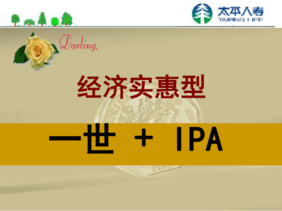 保险培训资料：一世加IPA.pptx_第2页