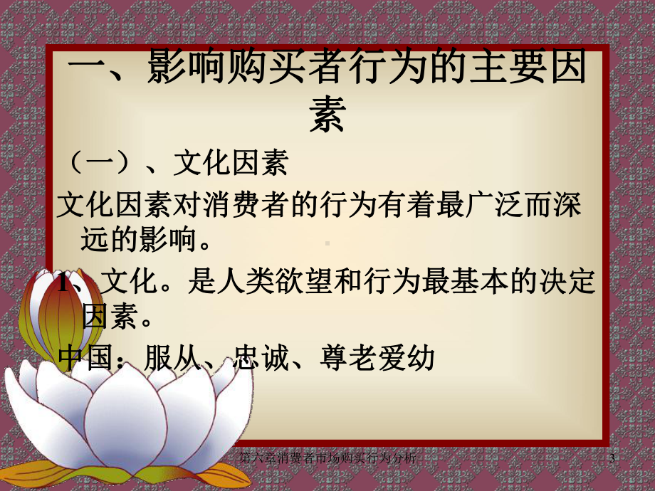 企业管理资料-消费者市场的购买行为分析PPT.ppt_第3页