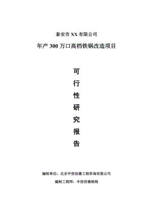 年产300万口高档铁锅改造项目可行性研究报告建议书.doc