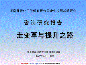 XX化工公司企业发展战略规划.ppt