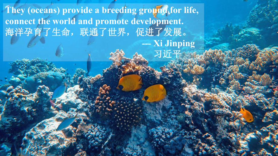 Unit 3 Sea Exploration Reading and Thinking -ppt课件--(2022)高中英语新人教版选择性必修第四册.pptx_第2页