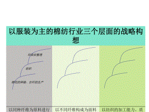 企业管理-DL棉麻产业整体战略构想.ppt