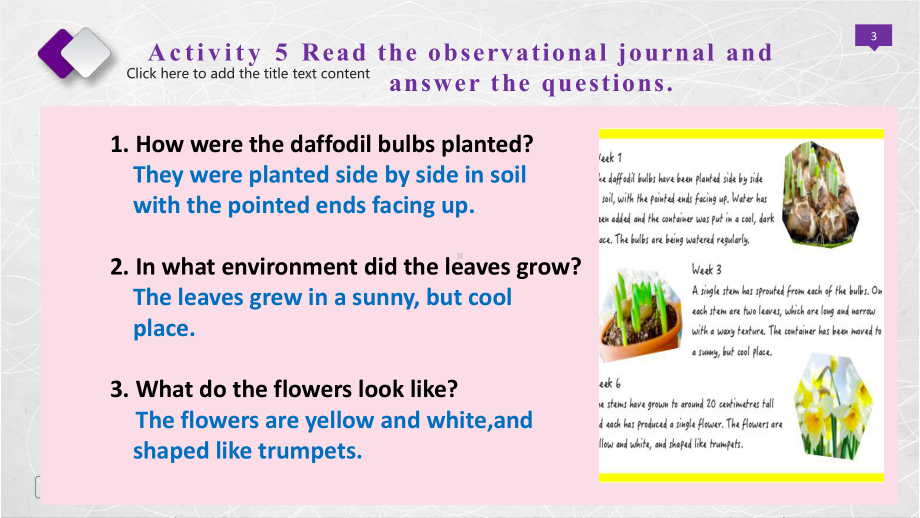 Unit 5 Writing-observational journal ppt课件-(2022）新外研版高中《英语》选择性必修第一册.pptx_第3页