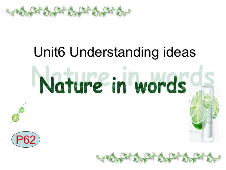 unit 6 understanding ideas P62-64 课件-(2022）新外研版高中选择性必修第三册《英语》.zip