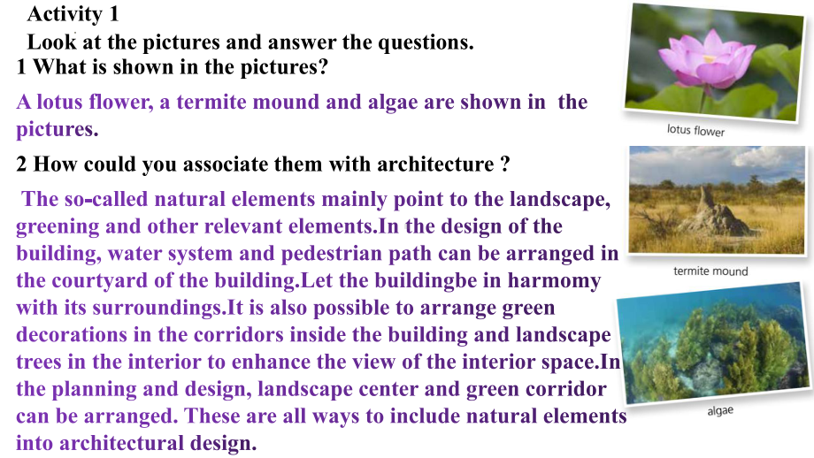 Unit 5 Learning from Nature understanding ideas 课件- -(2022）新外研版高中选择性必修第三册《英语》.pptx_第2页