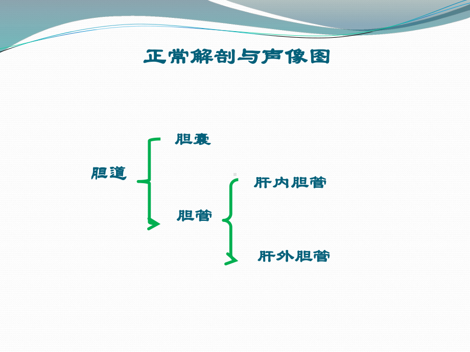 胆脾胰腺学习培训模板课件.ppt_第2页