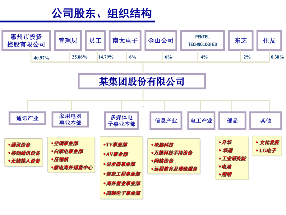 （企管资料）-某知名公司的战略及企业文化.pptx_第3页