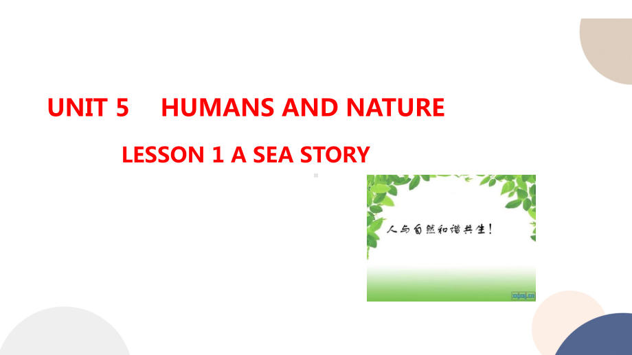 Unit 5 Humans and nature Lesson 1 A sea story 课件--（2022）新北师大版《高中英语》必修第二册.pptx_第1页