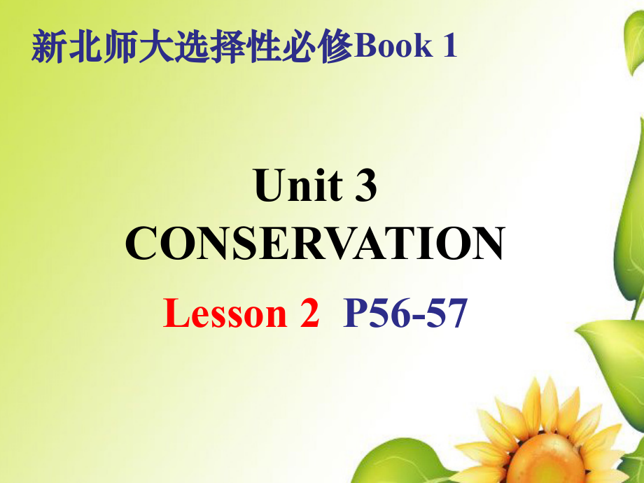 Unit 3 Lesson 2 War On Plastic Packets课件-（2022）新北师大版《高中英语》选择性必修第一册.zip