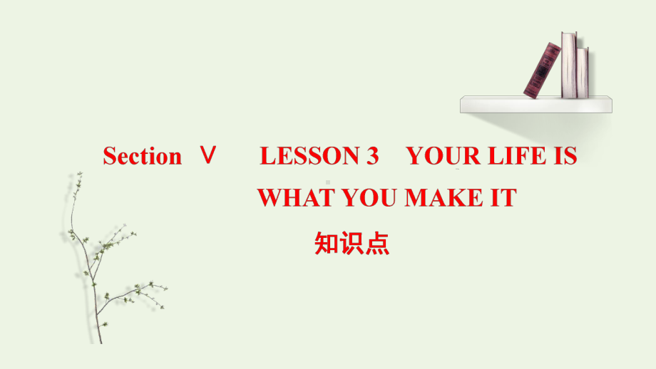 Unit 1 Life Choices Lesson 3 知识点课件-（2022）新北师大版《高中英语》必修第一册.pptx_第1页