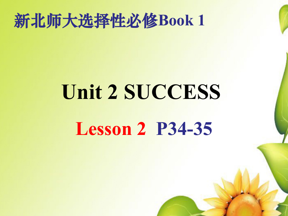 Unit 2 Lesson 2 Top Five Secrets Of Success课件-（2022）新北师大版《高中英语》选择性必修第一册.zip