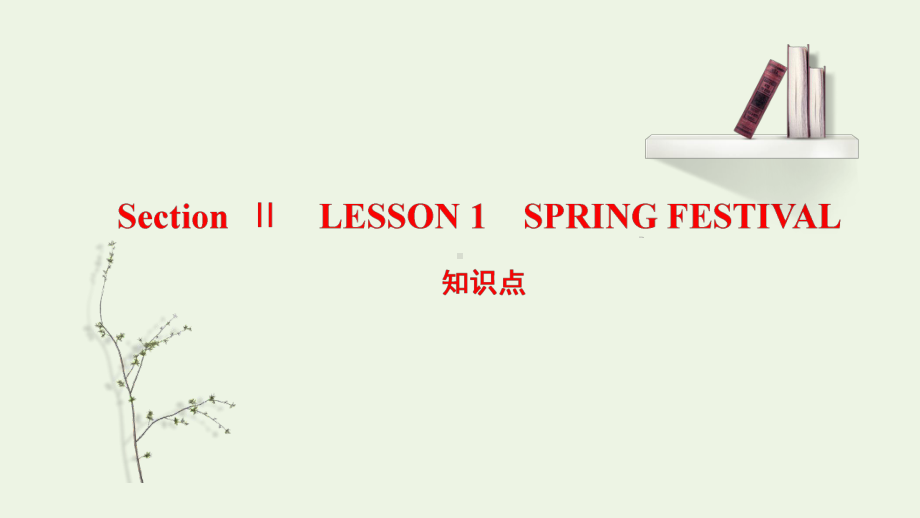 Unit 3 Celebrations Lesson 1 知识点课件-（2022）新北师大版《高中英语》必修第一册.pptx_第1页