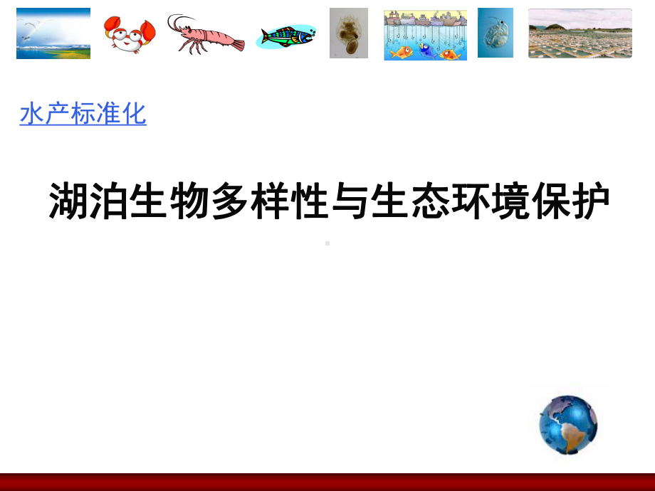 湖泊生物多样性与生态环境保护学习培训模板课件.ppt_第1页