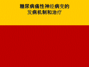 糖尿病痛性神经病变的发病机制和治疗培训学习培训模板课件.ppt