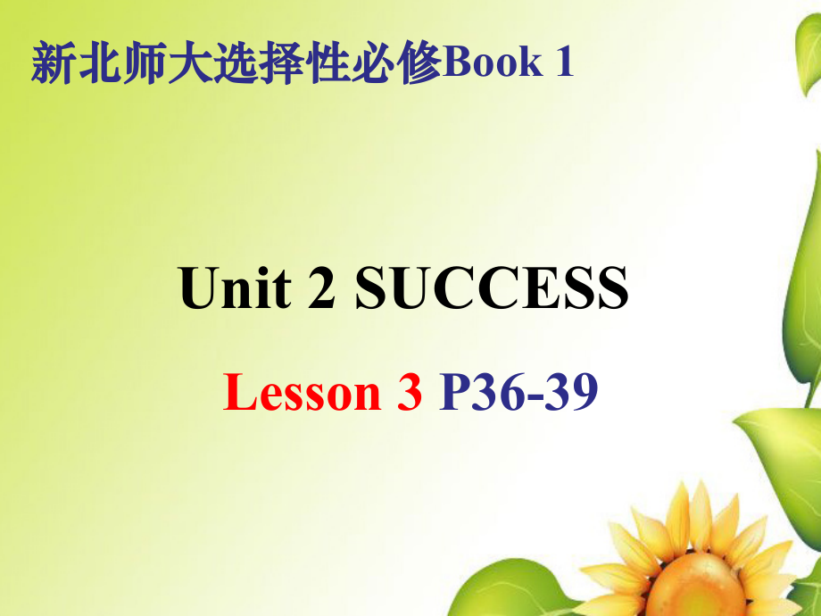 Unit 2 Lesson 3 Getting To The Top课件 -（2022）新北师大版《高中英语》选择性必修第一册.zip