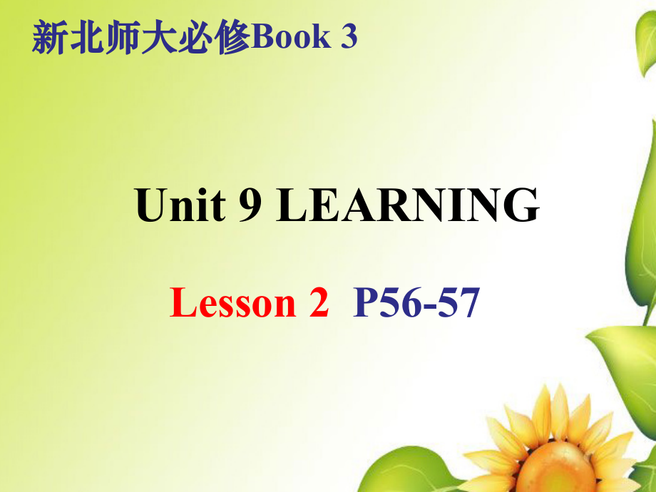 Unit 9 Lesson 2 课件-（2022）新北师大版《高中英语》必修第三册.zip