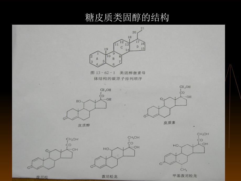 糖皮质激素在皮肤科的应用学习培训模板课件.ppt_第3页