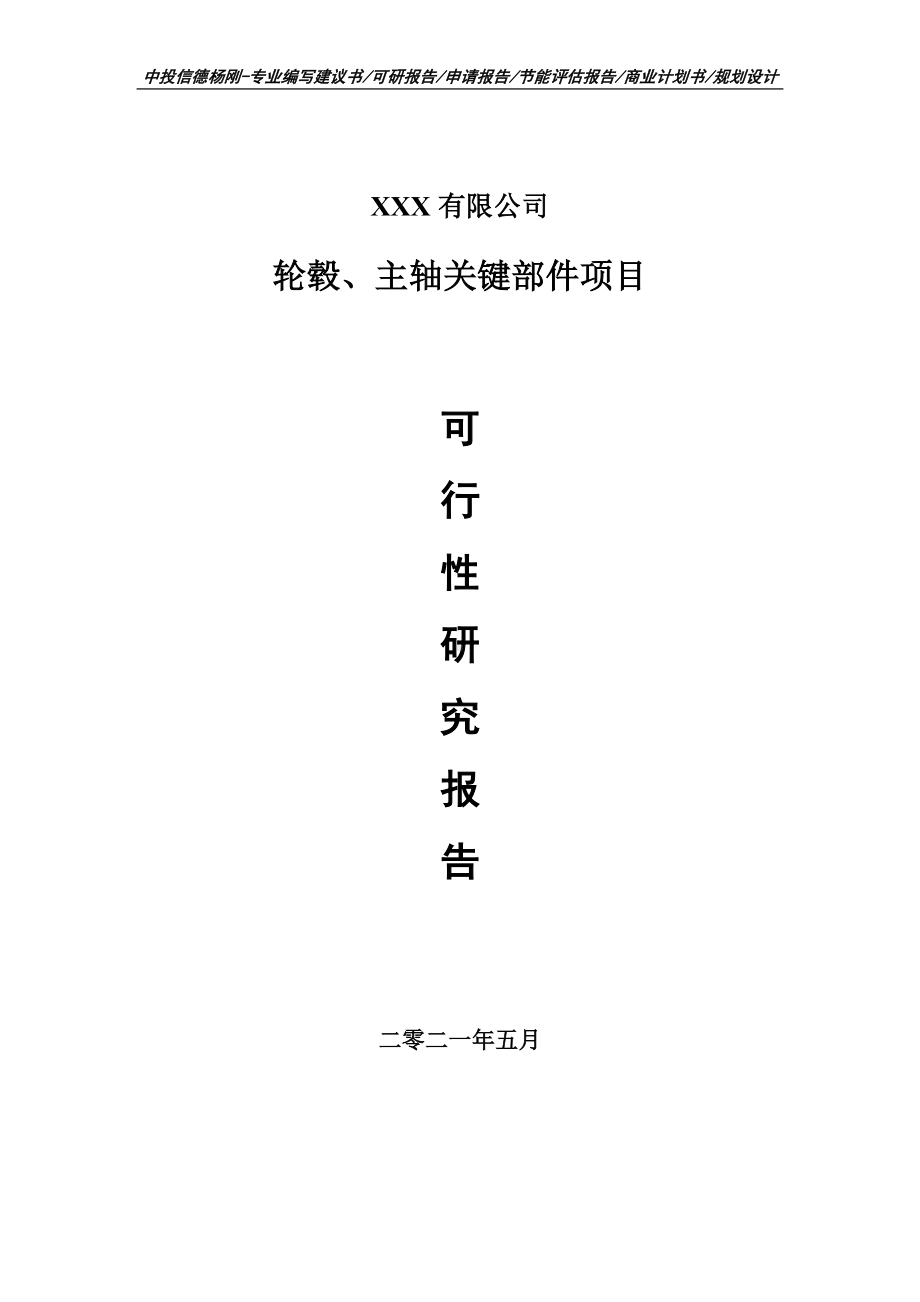 轮毂、主轴关键部件项目可行性研究报告建议书.doc_第1页