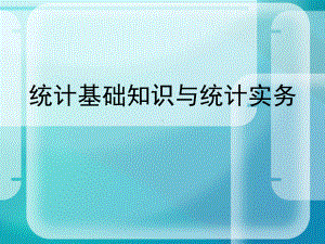 统计基础知识与统计实务学习培训模板课件.ppt