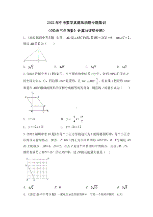 2022年中考数学真题压轴题专题集训锐角三角函数计算与证明专题.docx