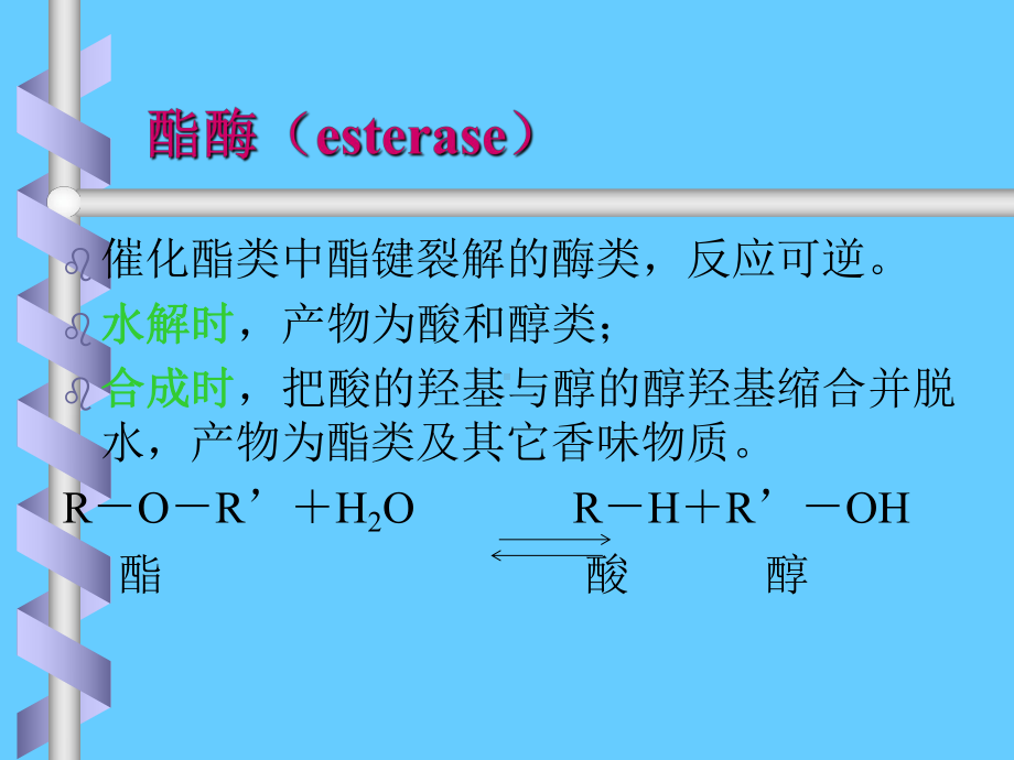 酯酶知识学习培训课件.ppt_第3页