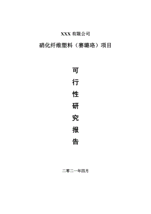 硝化纤维塑料（赛璐珞）项目申请报告可行性研究报告.doc