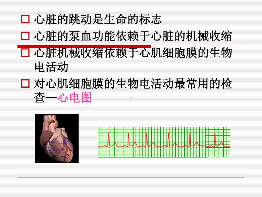 常见心电图诊断学习培训课件.ppt_第3页