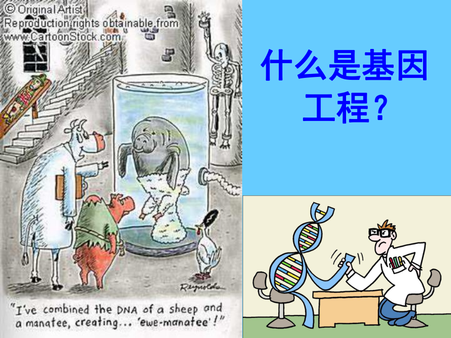 基因工程生物安全学习培训课件.ppt_第3页