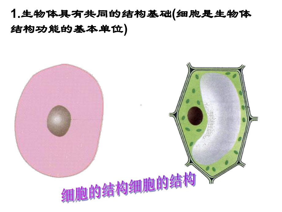 高中生物开学第一课ppt课件 ppt课件2021－2022学年高一上学期 .ppt_第3页