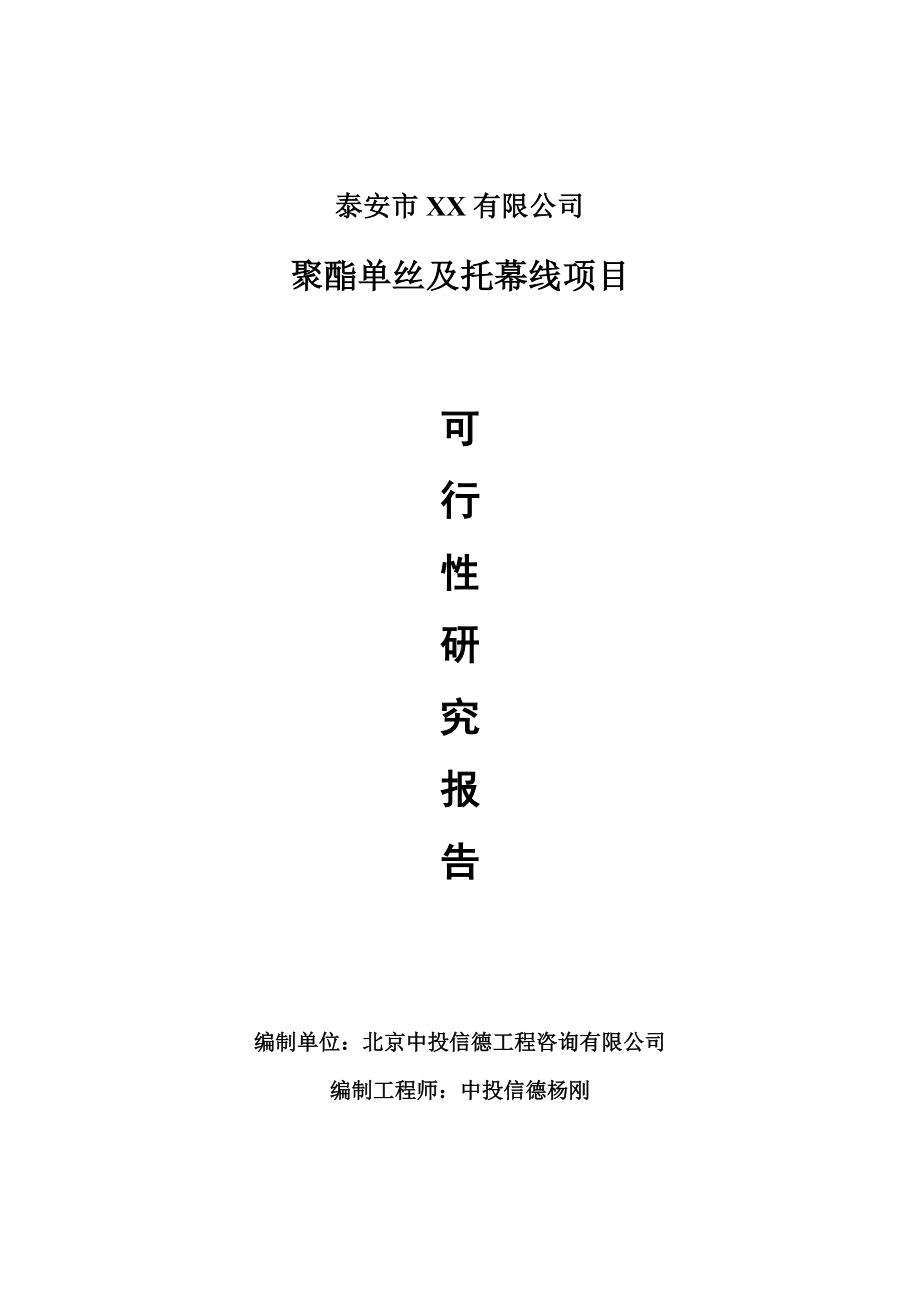 聚酯单丝及托幕线项目可行性研究报告建议书.doc_第1页